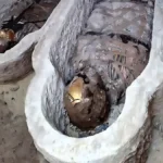 Mumia Com Fragmento Da Iliada